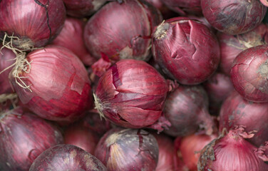 A Photograph of a Collection of some Sweet, Fresh, Red, Onions.