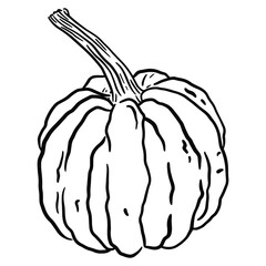 Black and white outline pumpkin illustration. Vector illustration of a pumpkin with a stem on a white background. Isolated vegetable for print, coloring book, textile.