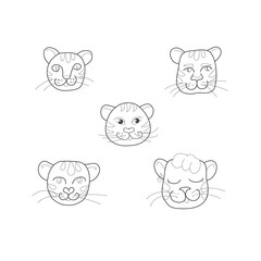 Five different tiger faces, cats in the style of line art, doodle. Vector illustration on a white background
