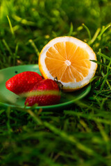 Defocus close-up saucer with lemon and two strawberry standing on deep green grass. Blurred nature background. Bright summer fruits outside, outdoor. Sunshine. Vitamin c. Out of focus