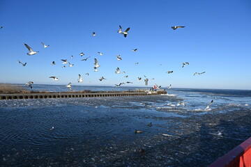 Ueckermünde, Haffbad im Winter