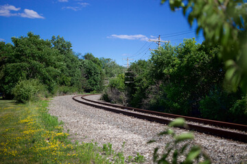 Fototapeta na wymiar Train Track Through field with trees and bright blue clear sky dandelions 