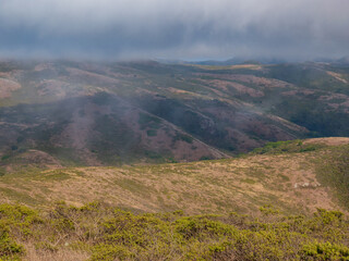 Obraz premium Foggy Costal Scrub cover hills near Muir Beach GGNRA California 3