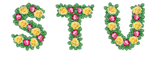 The letters S, T, U are made of red and yellow roses with green leaves