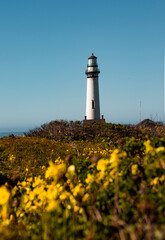 lighthouse on the coast