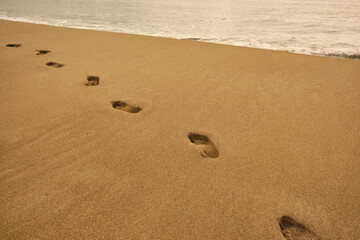 Fototapeta na wymiar Footprints on a sandy beach in early morning. Golden hour. 