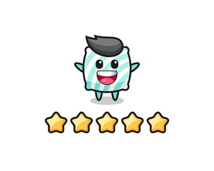the illustration of customer best rating, pillow cute character with 5 stars
