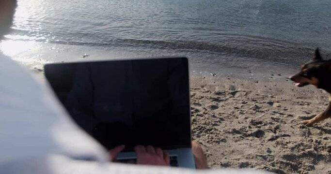 A man works on a laptop while sitting on the seashore near the water, a dog runs along the seashore. Filming over the shoulder of a man.