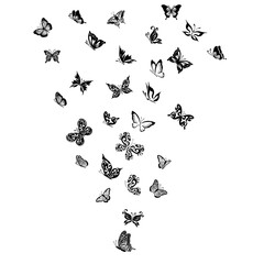 Fototapeta premium monochrome butterflies. Abstract vector illustration