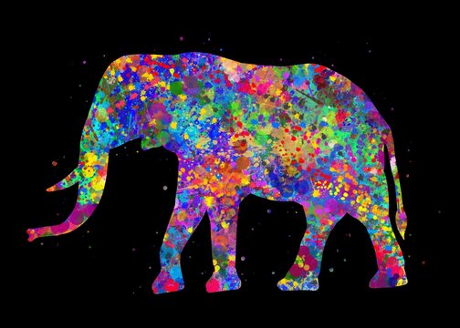 Elephant Animal watercolor art with black background, abstract painting. Watercolor illustration rainbow, colorful, decoration wall art.