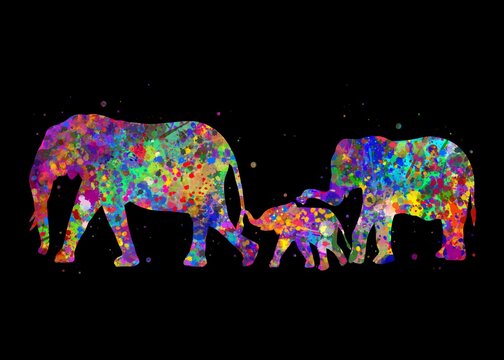 Elephant family Animal watercolor art with black background, abstract painting. Watercolor illustration rainbow, colorful, decoration wall art.