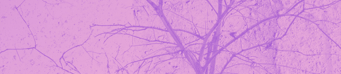 abstract violet, pink and purple colors background for design