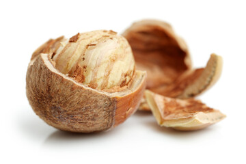 Hazelnuts on white background