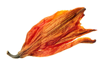 Dried lily tea on white background