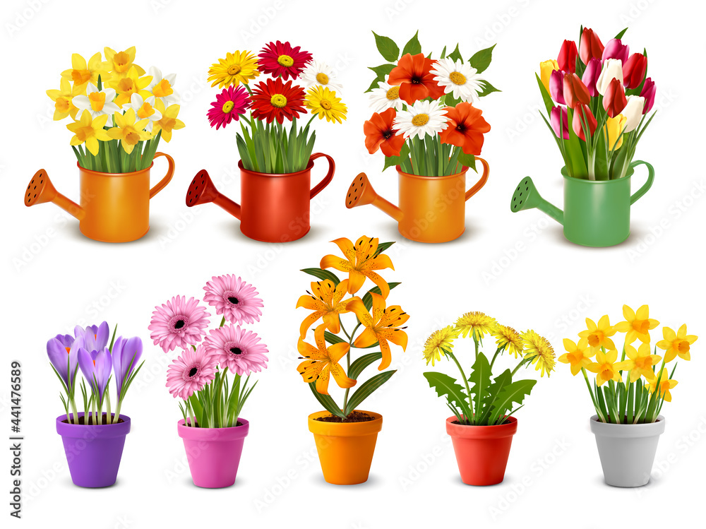 Poster Mega collection of spring and summer colorful flowers in pots,  watering cans and vases. Vector