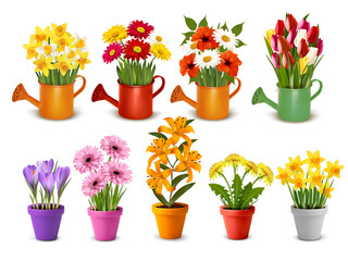Mega collection of spring and summer colorful flowers in pots,  watering cans and vases. Vector