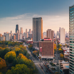 Aerial view of downtown Chicago from Lincoln Park