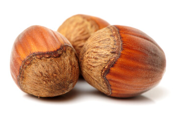  Hazelnuts on white background