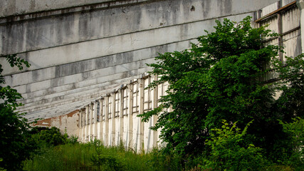 Abandoned and ruined old farm overgrown with bushes and trees