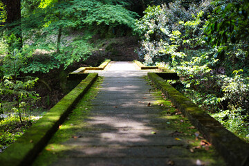 木陰の橋と緑の風景