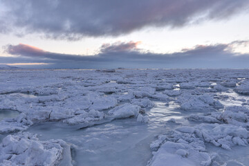 Frozen surface of arctic sea in the beginning of the winter