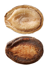  Black Melon Seeds on white background