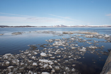 Arctic landscape in the beginning of the summer.