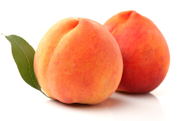 Gold Peach on a white background 