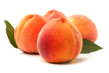 Gold Peach on a white background 