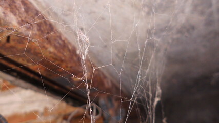 Lugar abandonado con telaraña