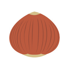 Chestnut Nature Autumn Fruit Food. illustration Design Vector Nut Nutrition Acorn Market Product.