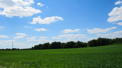 Landscape of the field and sky