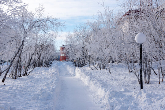 Snow-covered trail in the winter pfrk