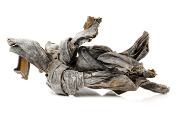 Kelp on a white background