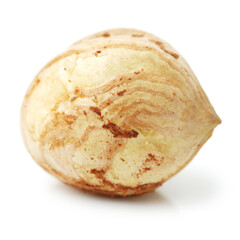 Hazelnuts on white background