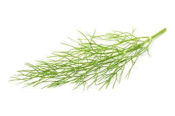 dill isolated on white background 