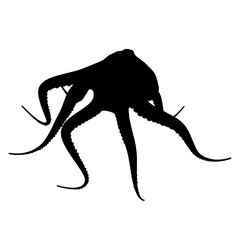 Silhouette of an octopus Isolated on a white background. Vector illustration