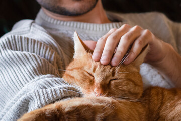 A red cat sleeps in the arms of a man. Close-up