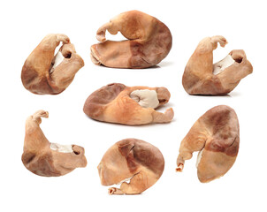 Boiled pig's organs on white background