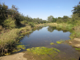 Fototapeta na wymiar Kruger National Park: stream