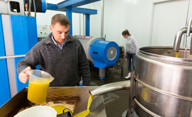Focused man working in handicraft olive oil producing factory, inspecting first pressing of olives and oil decanting