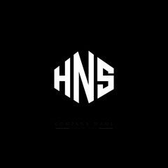 HNS letter logo design with polygon shape. HNS polygon logo monogram. HNS cube logo design. HNS hexagon vector logo template white and black colors. HNS monogram. HNS business and real estate logo. 