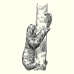 Vintage hand drawn sloth © Cus