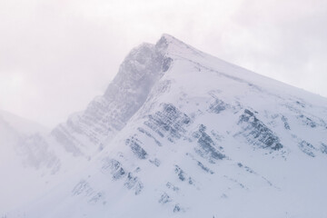 snow covered mountains
