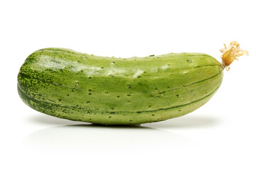 Green cucumber on the white background