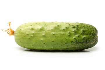 Green cucumber on the white background
