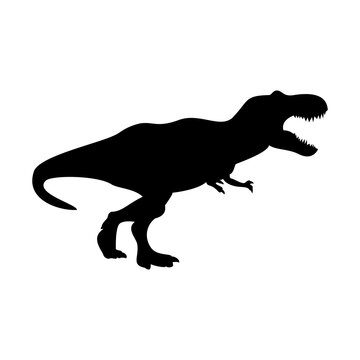 Tyrannosaurus Rex, Silhouette Vector illustration. Isolated.