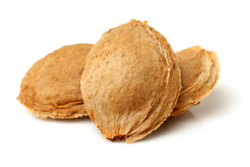 apricot kernel isolated on white background