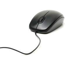 black mouse on white background