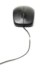 black mouse on white background